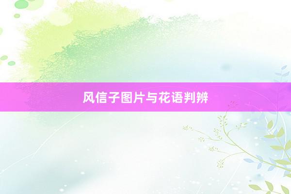 风信子图片与花语判辨