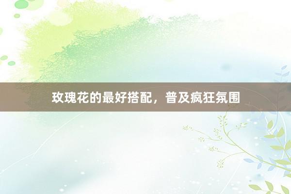 玫瑰花的最好搭配，普及疯狂氛围