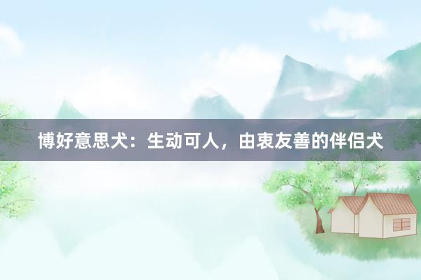 博好意思犬：生动可人，由衷友善的伴侣犬