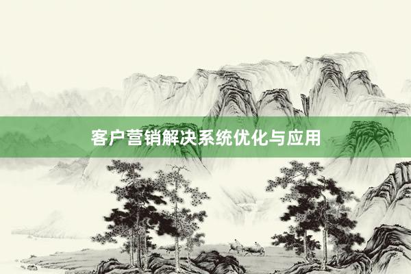 客户营销解决系统优化与应用
