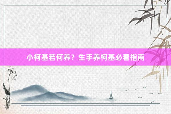 小柯基若何养？生手养柯基必看指南